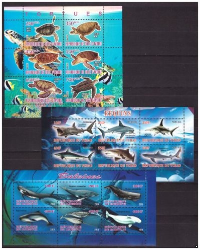 Подарочный набор Морская фауна, комплект блоков и МЛ(2 скана)