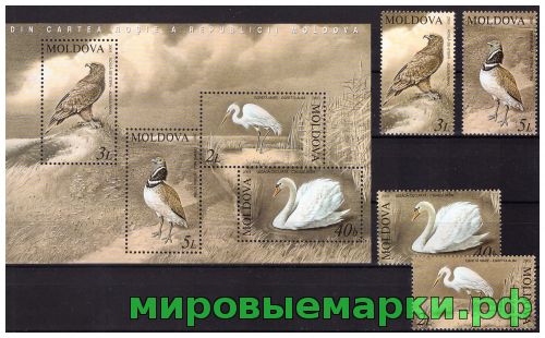 Молдавия 2003 г. Фауна Птицы, серия+блок