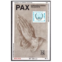 Боливия 1991 г. ООН. Мир. Дружба, блок