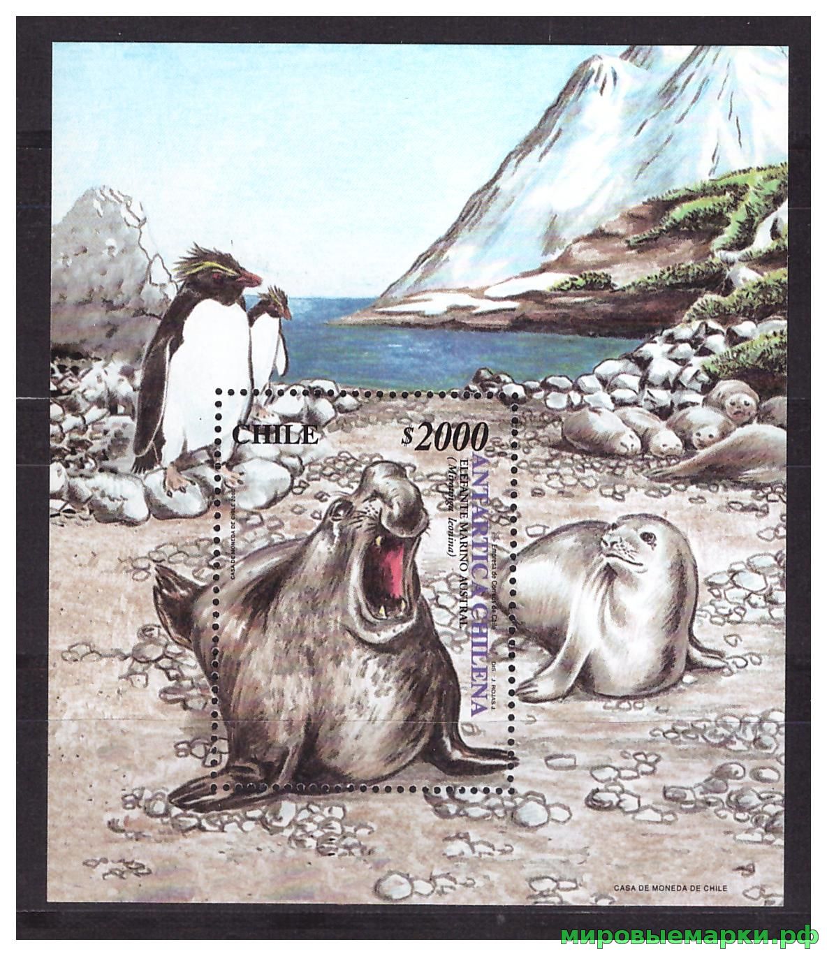 Чили 2000 г. Антарктика. Фауна, блок