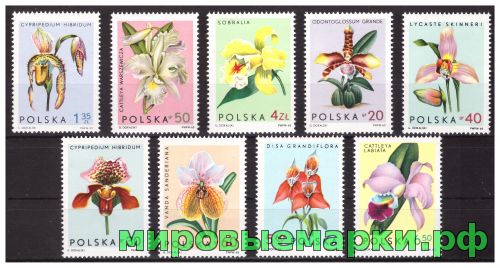 Польша 1965 г. № 1612-1620 Цветы. Орхидеи. Серия