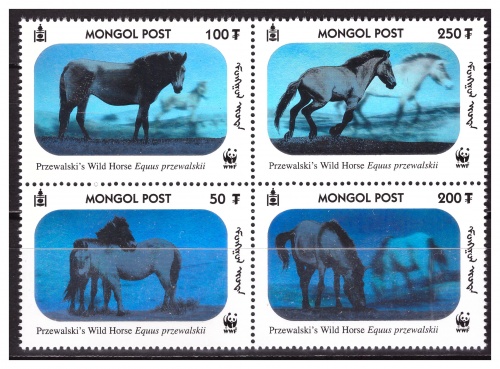 Монголия 2000 г. № 3126-3129 Фауна. WWF. Лошади. Сцепка