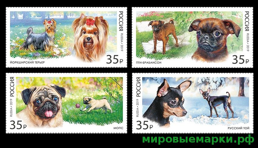 Россия 2019 г. № 2448-2451. Декоративные породы собак. Серия
