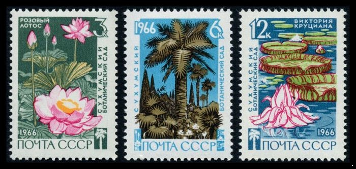 СССР 1966 г. № 3375-3377 Сухумский ботанический сад, серия 3 марки