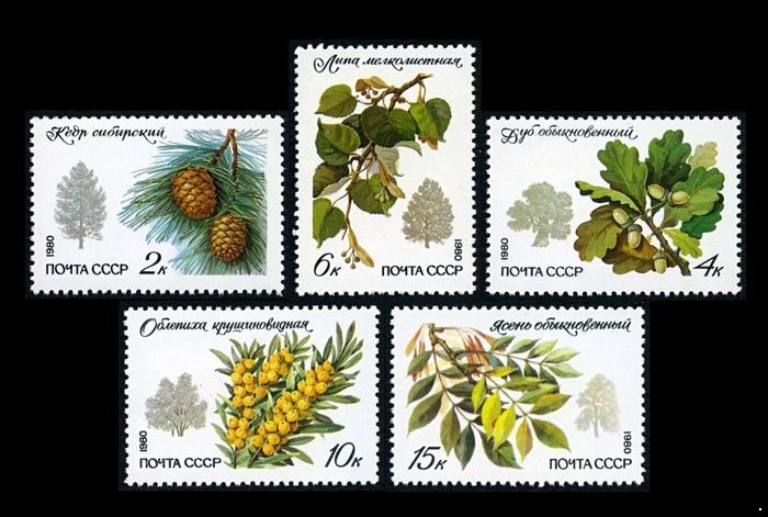 СССР 1980 г. № 5120-5124 Деревья и кустарники, серия 5 марок.