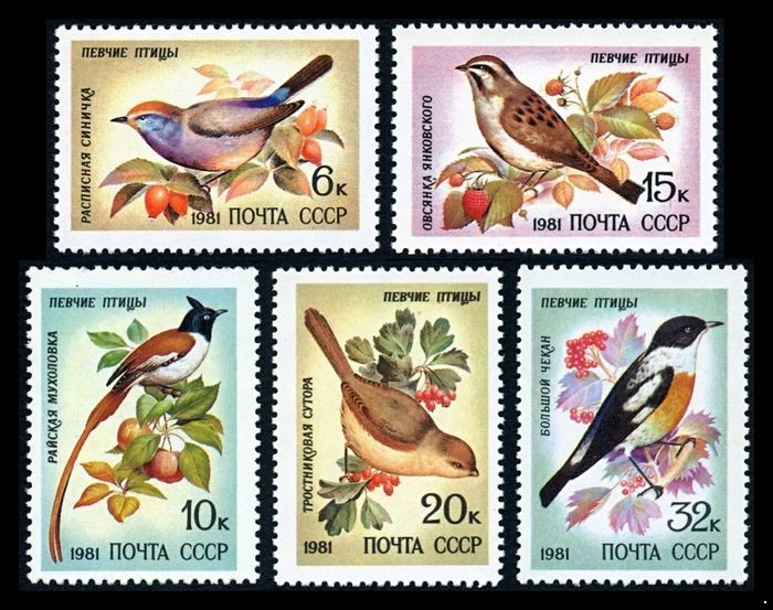 СССР 1981 г. № 5221-5225 Фауна. Певчие птицы, серия 5 марок