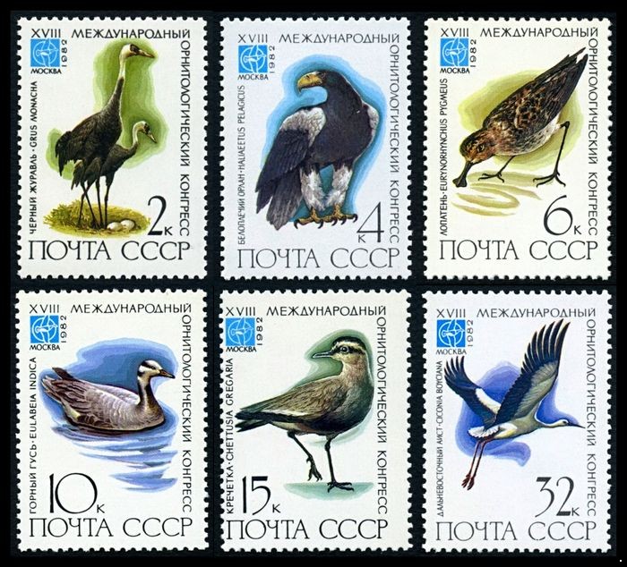 СССР 1982 г. № 5299-5304 XVIII Международный орнитологический конгресс, серия 6 марок.