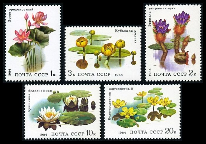 СССР 1984 г. № 5501-5505 Водные растения, серия 5 марок.