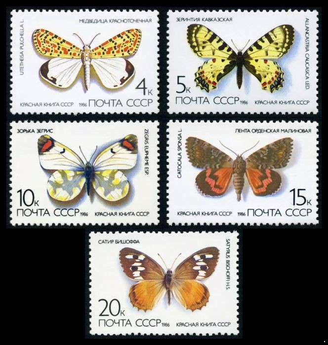 СССР 1986 г. № 5705-5709 Бабочки, серия 5 марок.