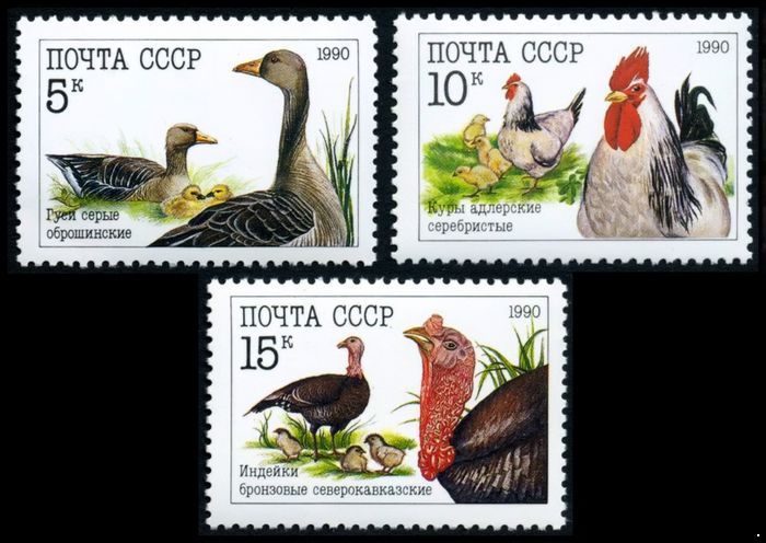 СССР 1990 г. № 6223-6225 Фауна. Домашние птицы, серия 3 марки.