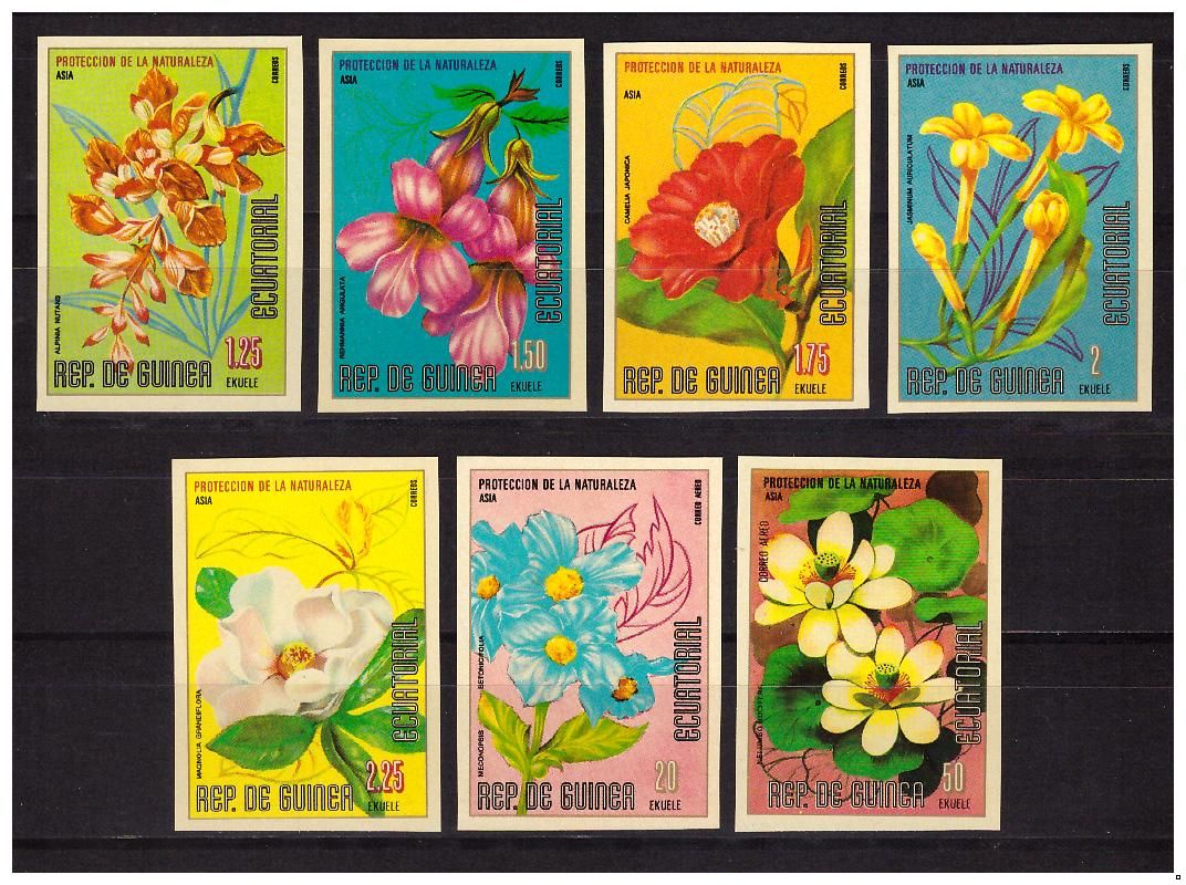 Экваториальная Гвинея 1979 г. Флора Цветы, беззубц.серия