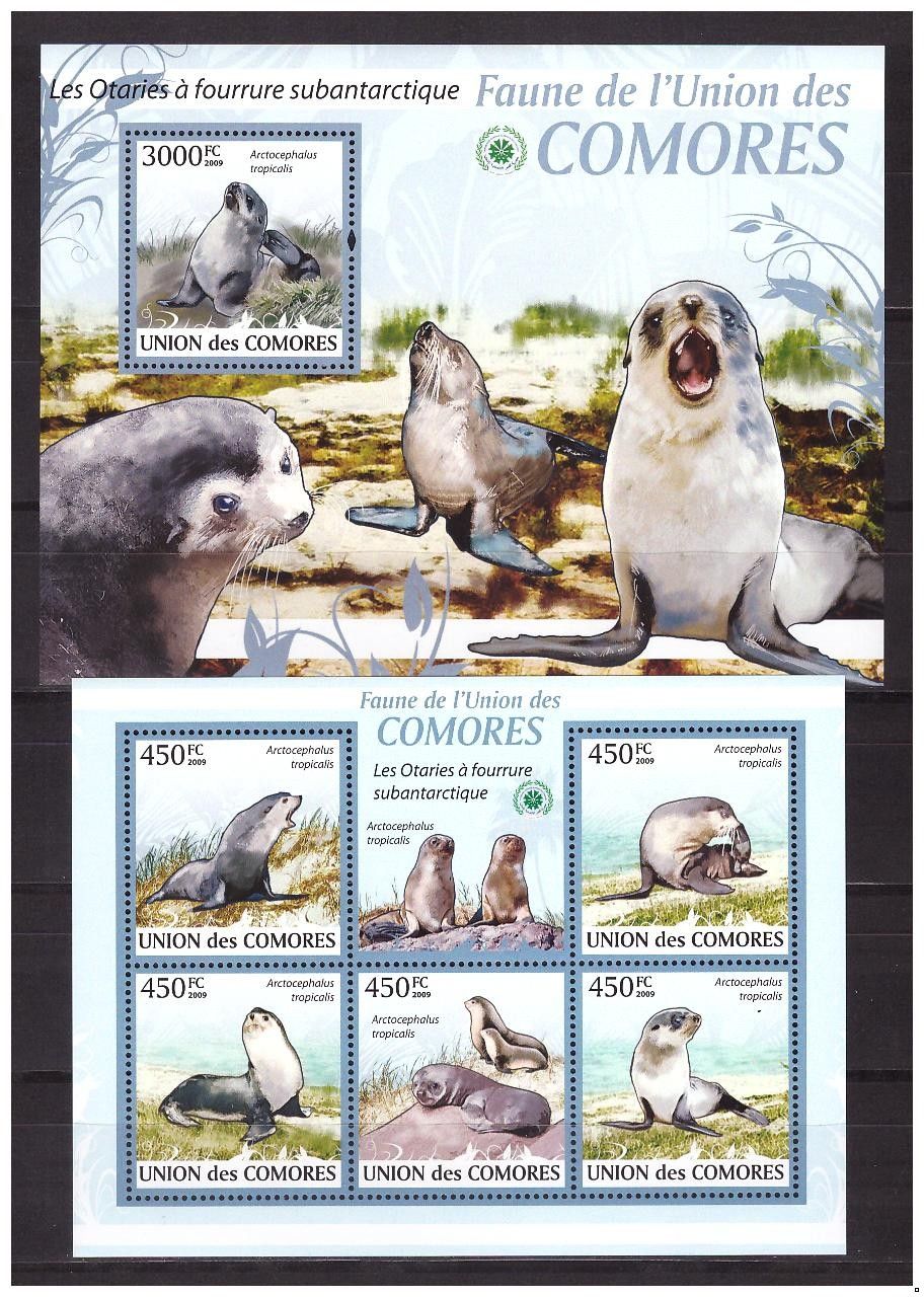 Коморские о-ва 2009 г. Фауна Морские котики, блок+МЛ