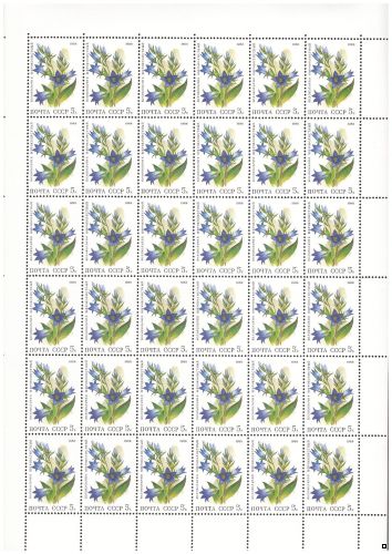 СССР 1988 г. № 5965-5969 Флора. Цветы, серия из 5 марок в листах(5 БЛ), 5 сканов