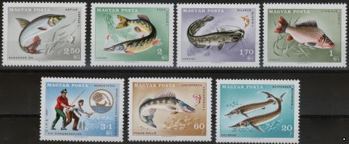 Венгрия 1967 г. №2344-2350 Спортивная рыбалка, серия