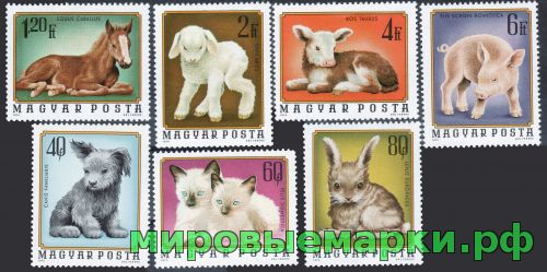 Венгрия 1974 г. №3007-3013 Детеныши домашних животных, серия