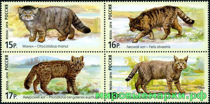 Кликните для увеличения изображения Россия 2014 г. № 1846-1849 Дикие кошки, серия