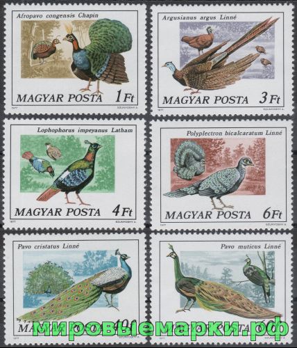 Венгрия 1977 г. №3185-3190 Фазаны и павлины, серия
