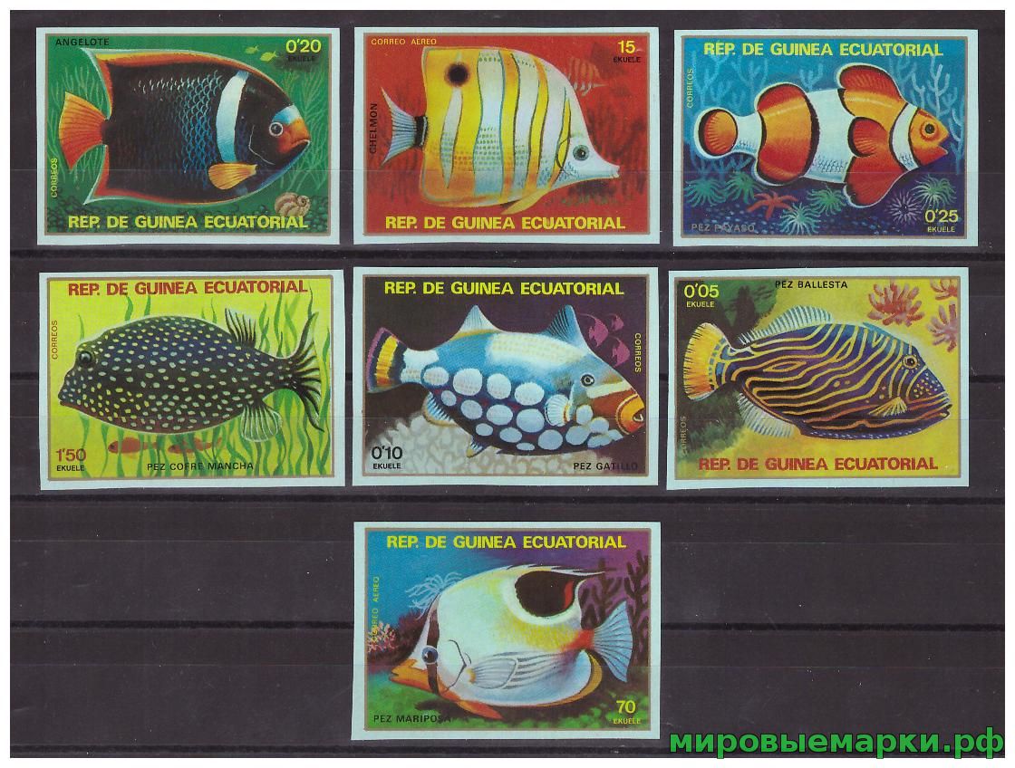 Экваториальная Гвинея 1979 г. Фауна Тропические рыбы, беззубц.серия
