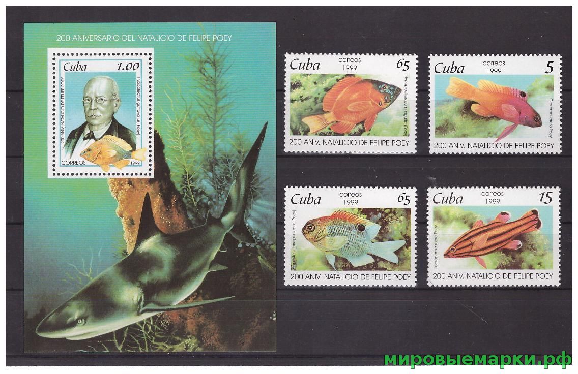 Куба 1999 г. Фауна Рыбы, серия+блок