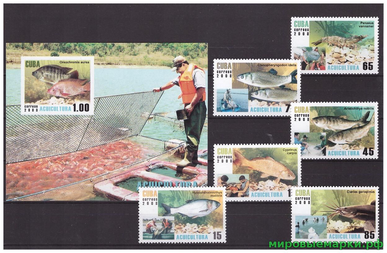 Куба 2008 г. Фауна Рыбалка, серия+блок