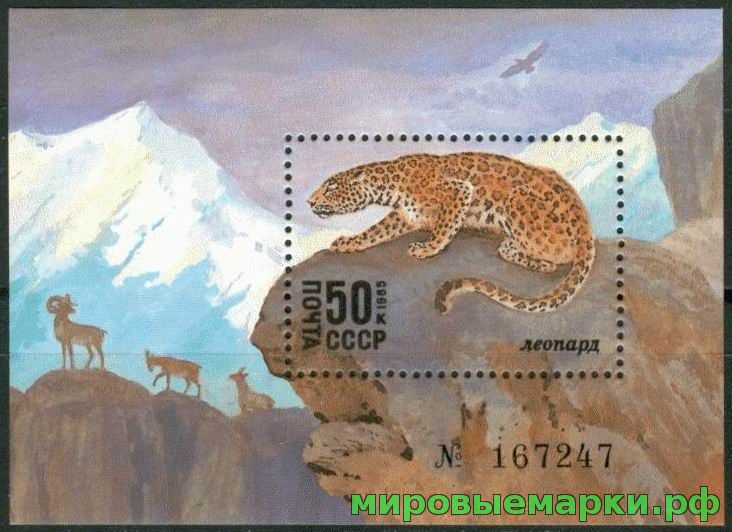 Кликните для увеличения изображения СССР 1985 г. № 5663 Животные