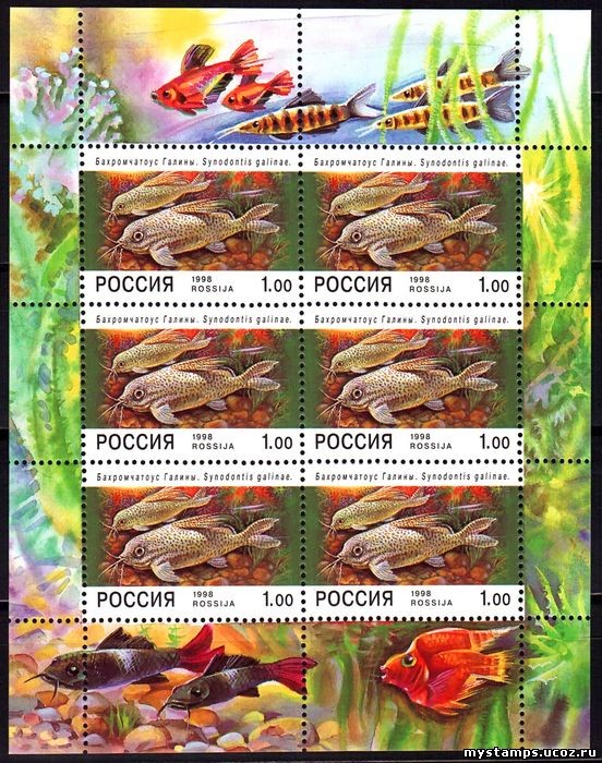 Россия 1998 г. № 427. Фауна. Аквариумные Рыбы. МЛ