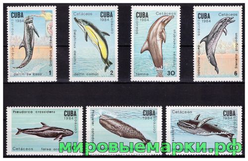 Куба 1984 г. Фауна Киты Дельфины, серия