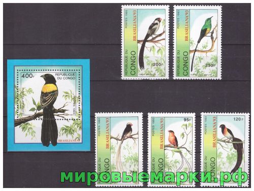 Конго 1993 г. Фауна Птицы, серия+блок