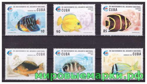Куба 1995 г. Фауна Рыбы Национальный аквариум, серия