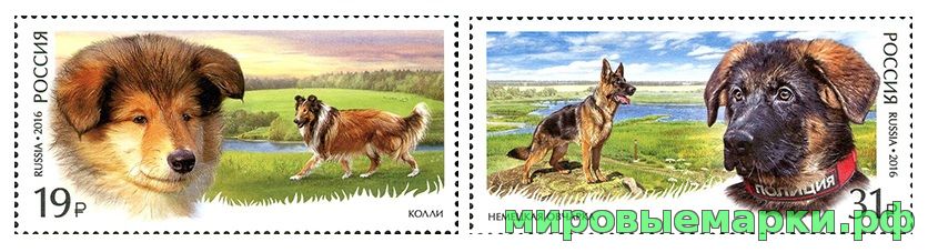 Кликните для увеличения изображения Россия 2016 г. № 2101-2102. Фауна России. Служебные породы собак, серия