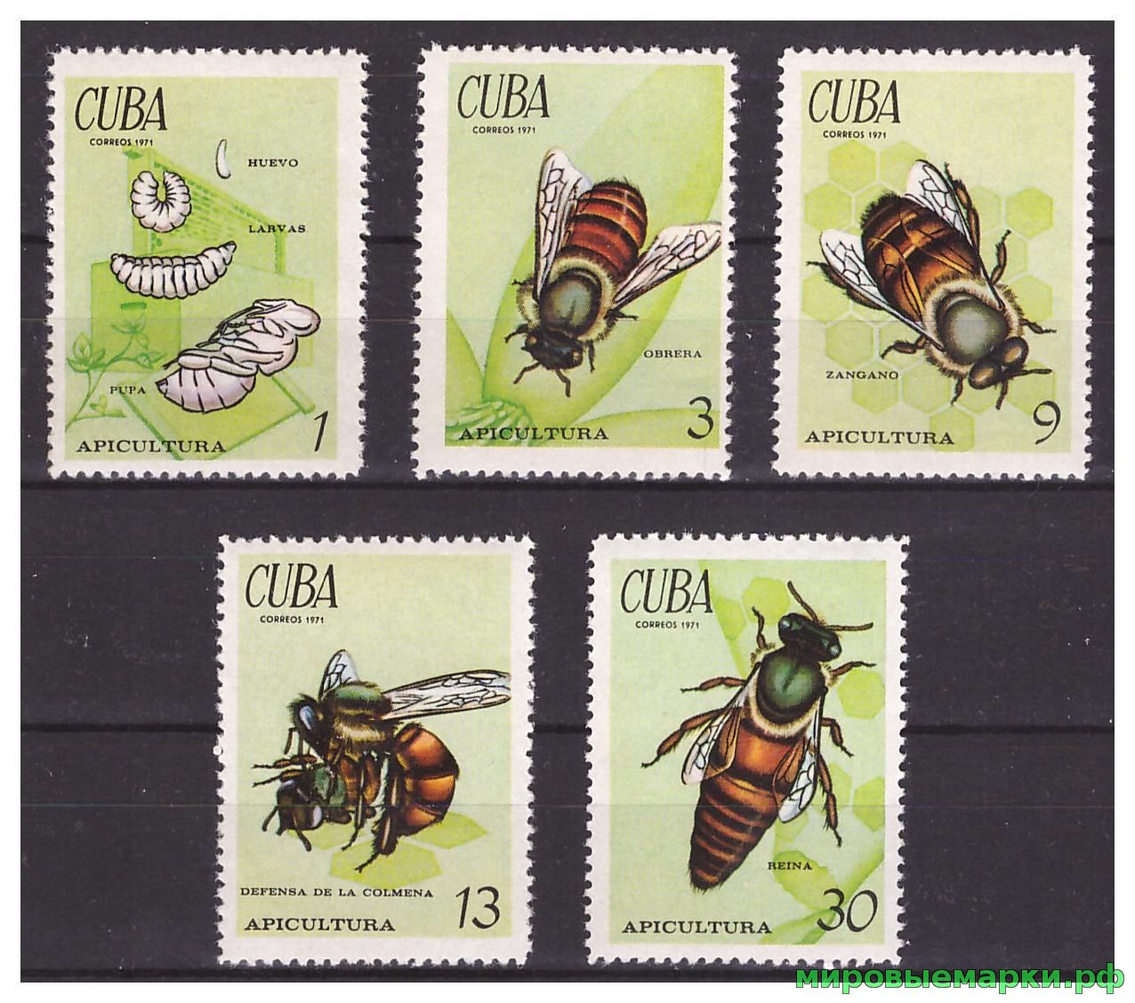 Куба 1971 г. Фауна Насекомые Пчёлы, серия