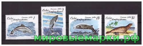 Куба 1980 г. Морская фауна, серия