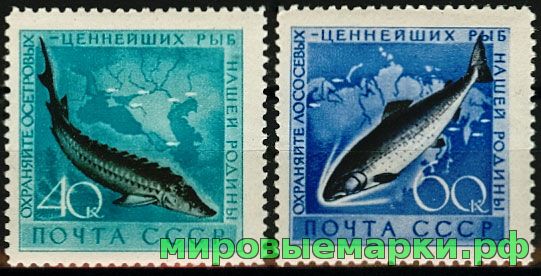 СССР 1959 г. № 2331-2332 Рыбы, серия