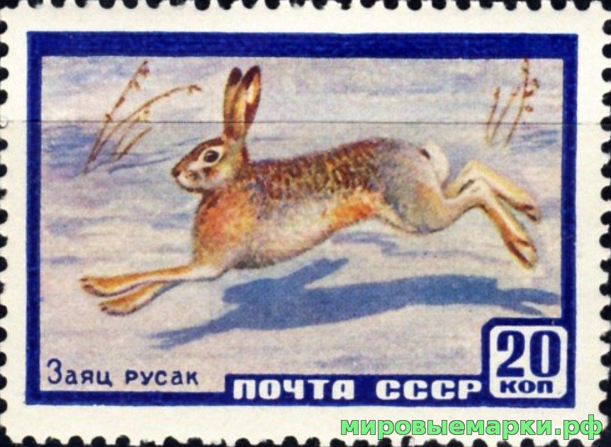 СССР 1960 г. № 2403 Фауна. Заяц