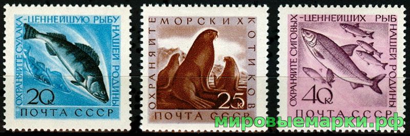 СССР 1960 г. № 2467-2469 Рыбы и морские животные, серия