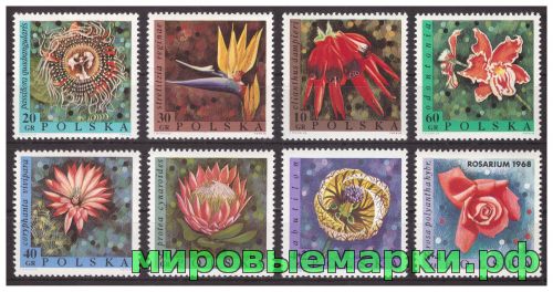 Польша 1968 г. № 1836-1843 Флора. Экзотические цветы. Серия
