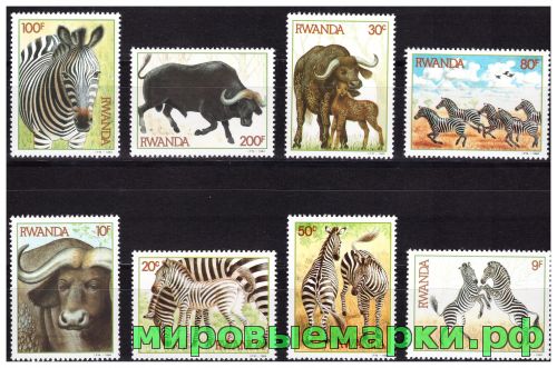 Руанда 1984 г. № 1283-1290 Фауна. Зебры и буйволы. Серия