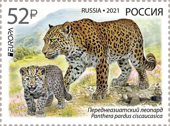 Россия 2021 г. Полный годовой комплект марок, блоков и МЛ. MNH(**)