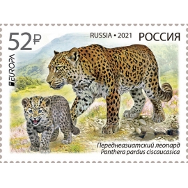 Россия 2021 г. Полный годовой комплект(марки, блоки и МЛ). MNH(**)