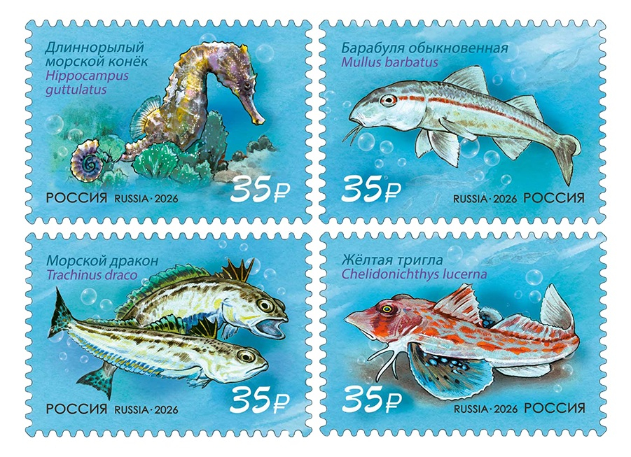 Россия 2026 г. № 3633-3636. Фауна России. Обитатели Чёрного моря. Серия