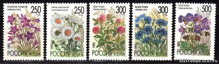 Россия 1995 г. № 216-220. Флора. Полевые цветы. Серия
