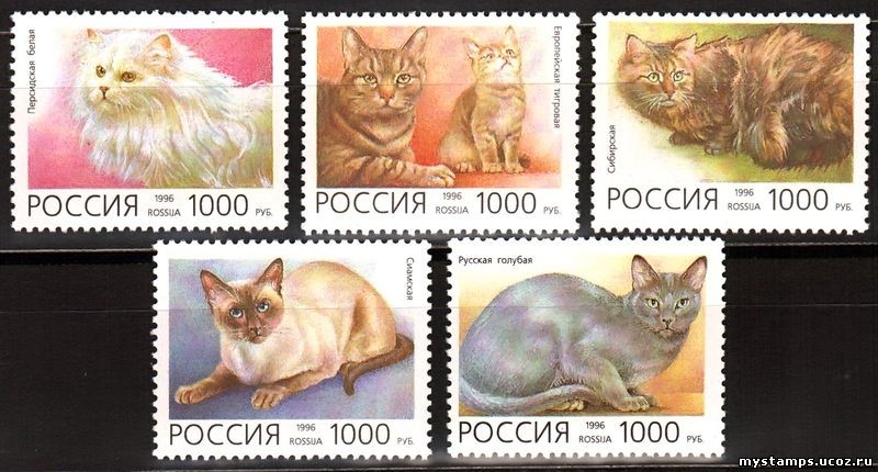 Россия 1996 г. № 266-270. Фауна. Кошки. Серия