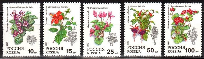 Россия 1993 г. № 077-081. Флора. Комнатные растения. Серия