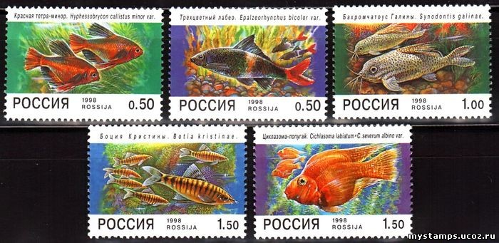 Россия 1998 г. № 425-429. Фауна. Аквариумные Рыбы. Серия