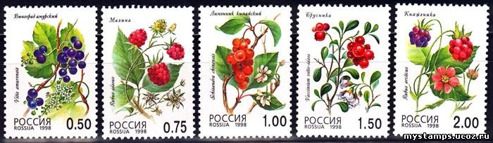 Россия 1998 г. № 447-451. Флора. Лесные ягоды. Серия