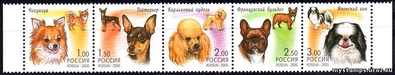 Россия 2000 г. № 605-609 Фауна Декоративные собаки