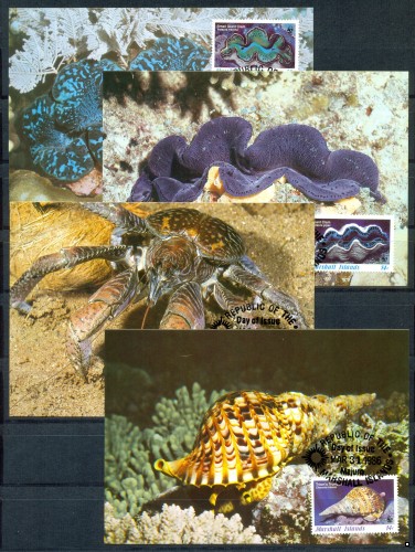Маршалловы о-ва Морская фауна WWF