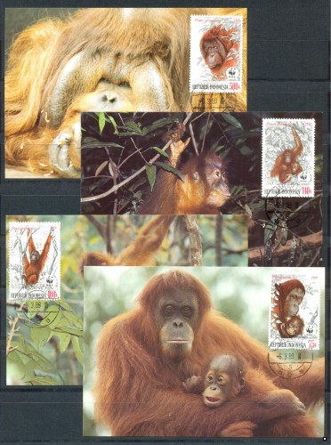 Индонезия 1989 г. Фауна WWF Обезьяны