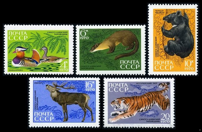 Кликните для увеличения изображения СССР 1970 г. № 3915-3919 Сихотэ-Алиньский заповедник, серия 5 марок