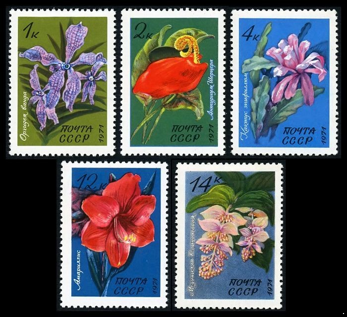 СССР 1971 г. № 4080-4084 Тропические растения, серия 5 марок